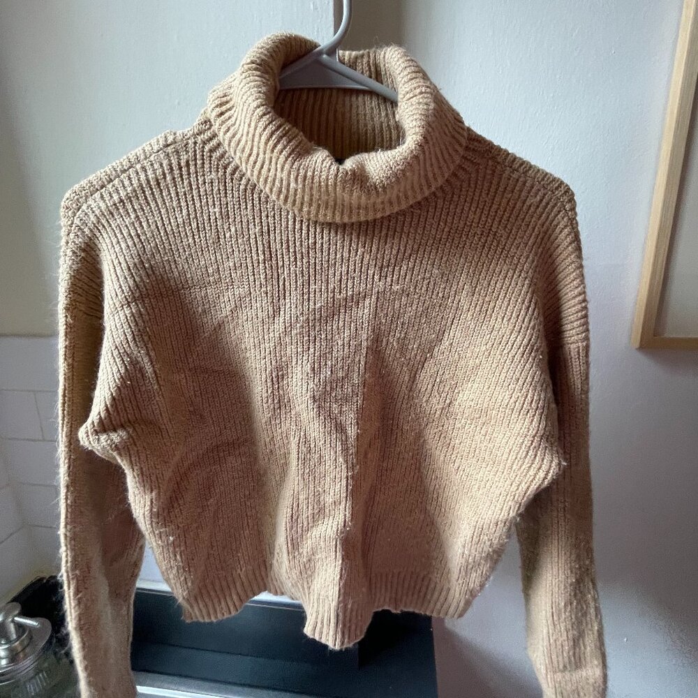 Forever 21 Chunky Tan Turtleneck Sweater